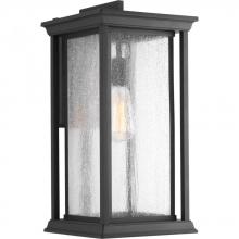 Progress P5613-31 - Endicott Collection One-Light Extra-Large Wall Lantern