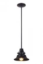Craftmade Z4421-MN - Union 1 Light Large Outdoor Pendant in Midnight