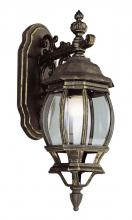 Trans Globe 4053 SWI - Francisco 1-Light Outdoor Beveled Glass Coach Wall Lantern