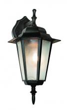Trans Globe 4056 BK - 1LT WALL-OUTD-DOWN-FROSTED GLA