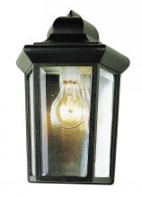 Trans Globe 4483 BK - 1LT WALL POCKET OUTDOOR