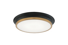Matteo Lighting M11202BKAG - Jaxx Black + Aged Gold Brass Ceiling Mount