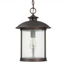 Capital 9564OB - 1 Light Outdoor Hanging Lantern