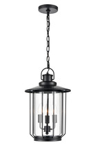 Millennium 2697-PBK - Outdoor Hanging Lantern