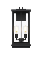 Elegant OD404W21BK - Theodore 9 inch Outdoor Wall Sconce in Black