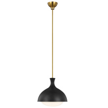 Visual Comfort & Co. Studio Collection AEP1021BBSMBK - Lucerne One Light Medium Pendant