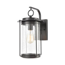 ELK Home 46661/1 - Devonshire 1-Light Sconce in Matte Black with Seedy Glass